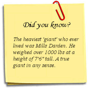 The Tallest Man Fact 7